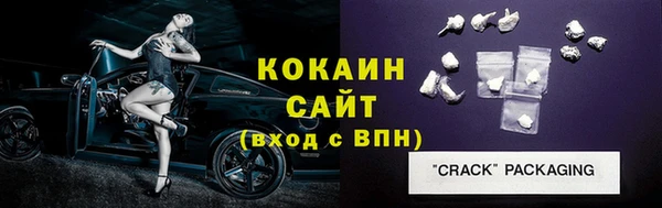 гидра Абаза