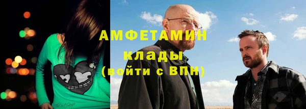 гидра Абаза