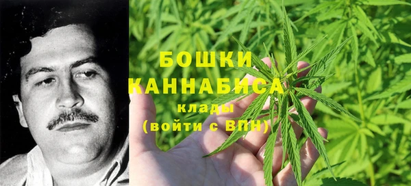 гидра Абаза