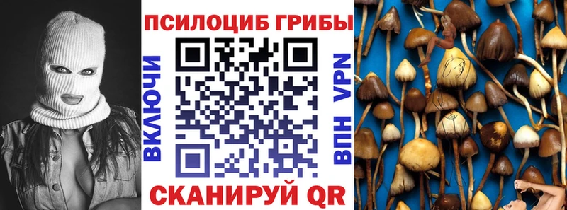 OMG ссылки  Инза  Псилоцибиновые грибы MAGIC MUSHROOMS 