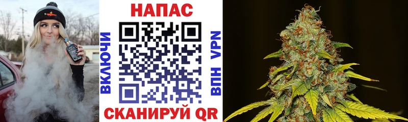 mega рабочий сайт  Инза  Бошки Шишки ГИДРОПОН 